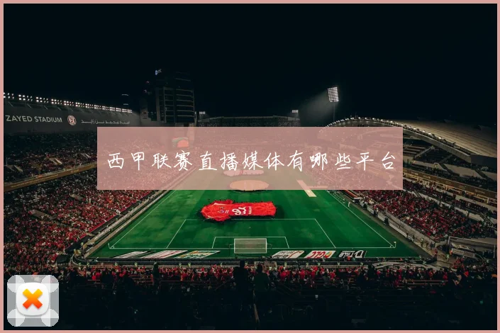 西甲联赛直播媒体有哪些平台